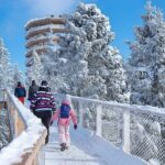 Treetop Walk in Slovakia and Thermal Baths from Krakow - Practical Details & Tips