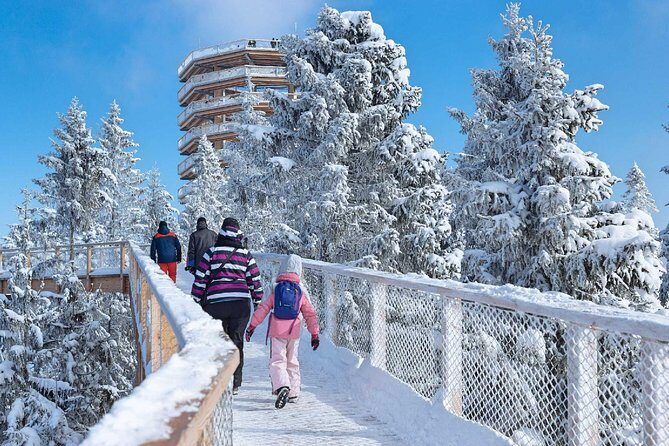 Treetop Walk in Slovakia and Thermal Baths from Krakow - Practical Details & Tips