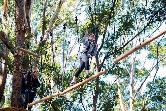 Treetops Adventure Coffs Harbour Tree Ropes Course - Who Should Consider This Experience?