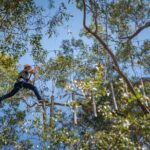 Treetops Adventure Newcastle with Tree Ropes Course - Who Would Enjoy This Tour?