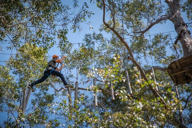 Treetops Adventure Newcastle with Tree Ropes Course - Who Would Enjoy This Tour?