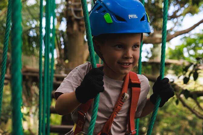 Treetops Adventure The Hills Junior Ropes Course - An In-Depth Look at Treetops Adventure The Hills Junior Ropes Course