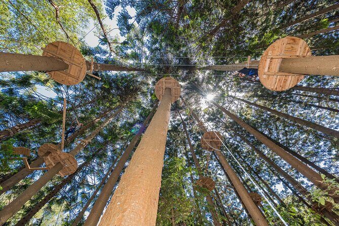 Treetops Adventure The Hills - Tree Ropes Course - Who Should Consider This Tour?