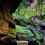Trek Shoot and Soothe Hiking Tour from Springwood Blue Mountains - Who Would Love This Tour?