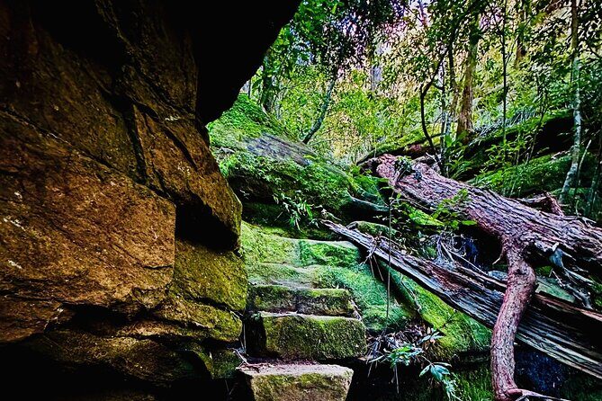Trek Shoot and Soothe Hiking Tour from Springwood Blue Mountains - Who Would Love This Tour?