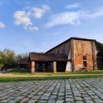 Trekking in the Wood with picnic on the turtles lake - A Well-Balanced, Authentic Nature Escape in Milan