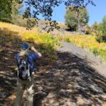 Trekking to Bottoniera Craters - Final Thoughts