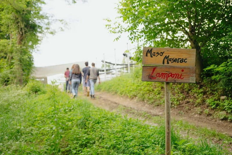 Trentino Agriconda: frutTIAMO...Explore, Learn, Taste Small Fruits - Who Should Consider This Experience?