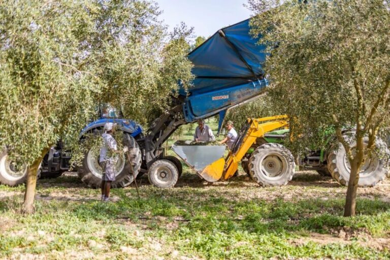 Treurer: Mediterranean barbecue Night - A Detailed Look at the Treurer Mediterranean BBQ Night