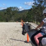 Trevena Glen 1hr Animal Tour - Why Choose Trevena Glen’s Animal Tour?