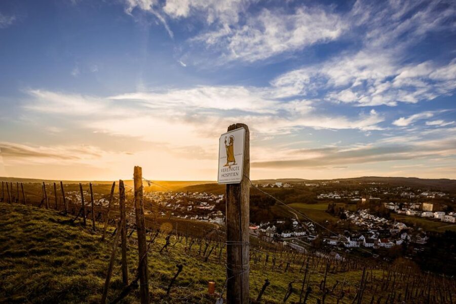Trier: Discovery tour - Germany's oldest wine cellar - Who Will Love This Tour?