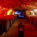 Trier: Mosel wine meets history  wine tour with cellar visit - FAQ