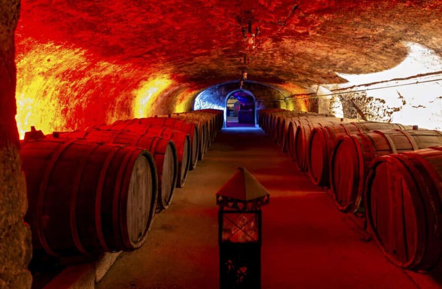 Trier: Mosel wine meets history  wine tour with cellar visit - FAQ
