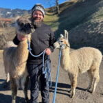 Triesenberg: Walk with Llamas in the Mountains - The Unique Charm of the Guides and Animals