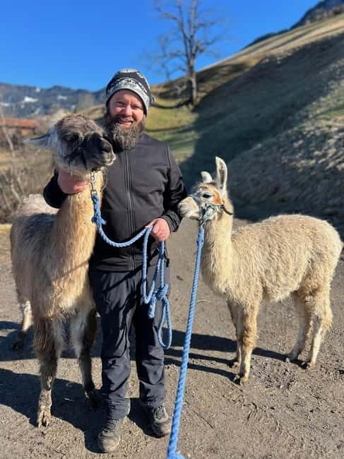 Triesenberg: Walk with Llamas in the Mountains - The Unique Charm of the Guides and Animals