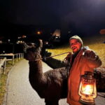 Triesenberg: Walking Tour with Llamas and Cheese Raclette - A Deep Dive into the Experience
