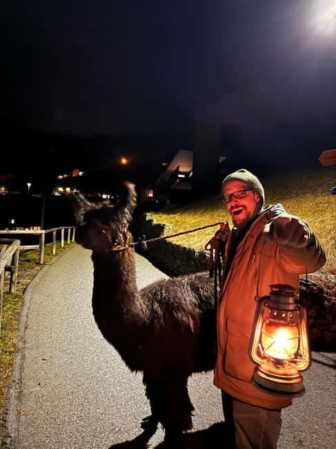 Triesenberg: Walking Tour with Llamas and Cheese Raclette - A Deep Dive into the Experience