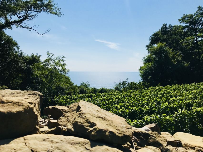 Trieste: 2.5-Hour Prosecco Origins Tour and Tastings - Walking Through the Heart of Prosecco’s Birthplace