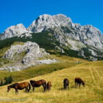 Trnovako Lake: National Park Sutjeska- Magli - Trekking - Diving into the Details: What the Tour Offers
