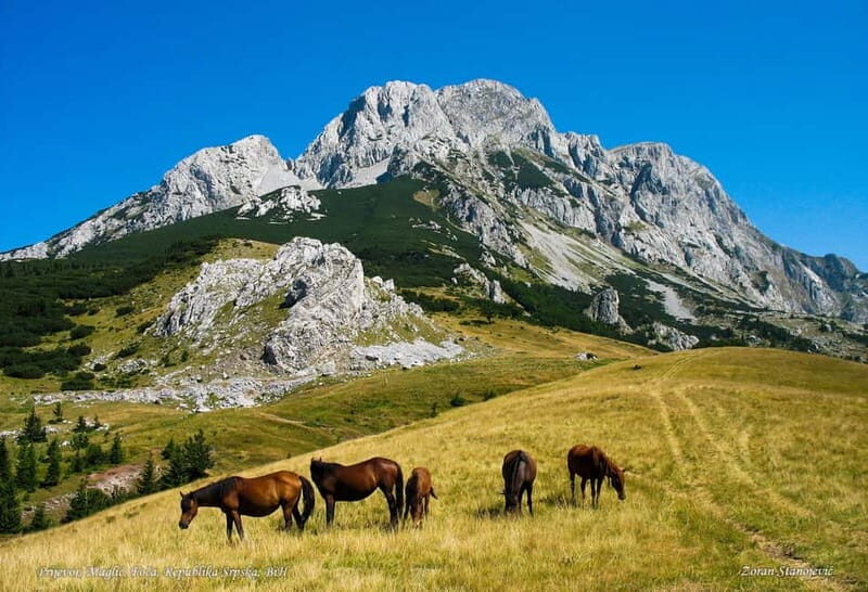 Trnovako Lake: National Park Sutjeska- Magli - Trekking - Diving into the Details: What the Tour Offers