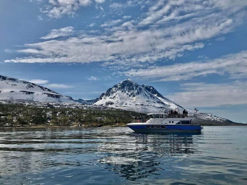 Tromsø: 2-Hour Island Tour Cruise with Snacks and Drinks - What to Expect: From Booking to Returning
