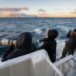 Tromsø: 24hr Northern Lights & Whale Watching Cruise - Who This Tour Suits Best