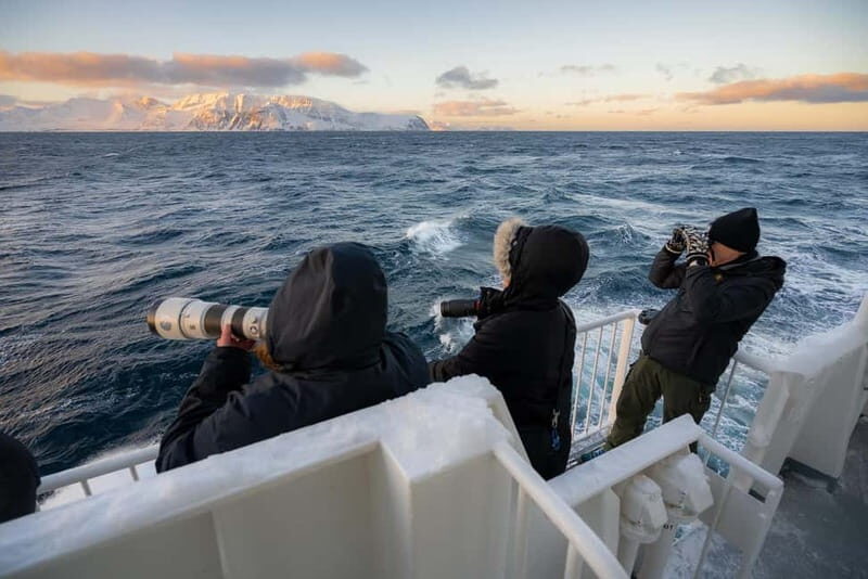 Tromsø: 24hr Northern Lights & Whale Watching Cruise - Who This Tour Suits Best