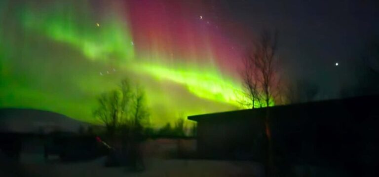 Tromsø: 6 hours Northern Lights tour - Who Will Love This Tour?