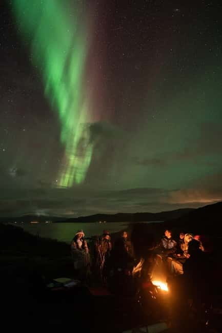 Tromsø: Adult Only Aurora hunt with Citizen Science - Who Will Love This Tour?