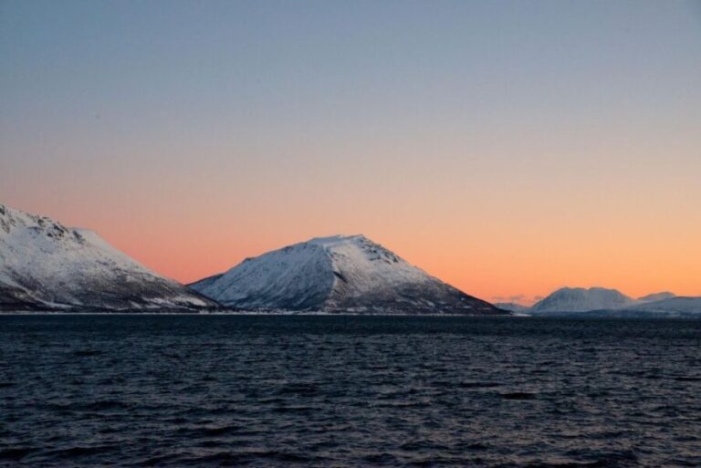 Tromsø: Arctic Fjord Cruise in Polar Landscapes - Who Will Love This Tour?