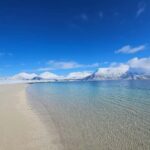 Tromsø: Arctic Fjords Tour. Sommerøya and Kvaløya with Lunch - Authenticity and Value