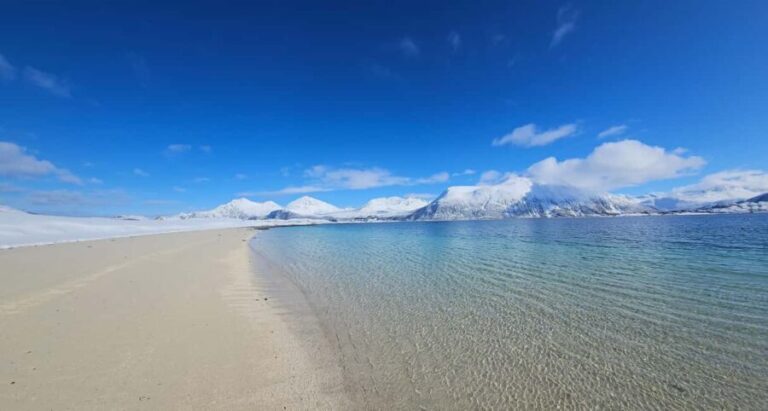 Tromsø: Arctic Fjords Tour. Sommerøya and Kvaløya with Lunch - Authenticity and Value