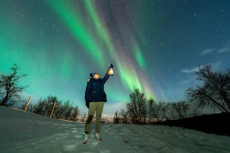 Tromsø: Aurora Borealis, Campfire, Hot Meal, Arctic Tour - An In-Depth Look at the Tromsø Aurora Borealis Tour