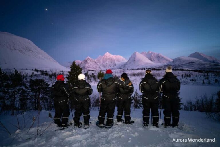 Tromsø: Aurora Crystal Lavvo Overnight Stay with Activities - A Detailed Look at the Tromsø Aurora Crystal Lavvo Overnight Tour