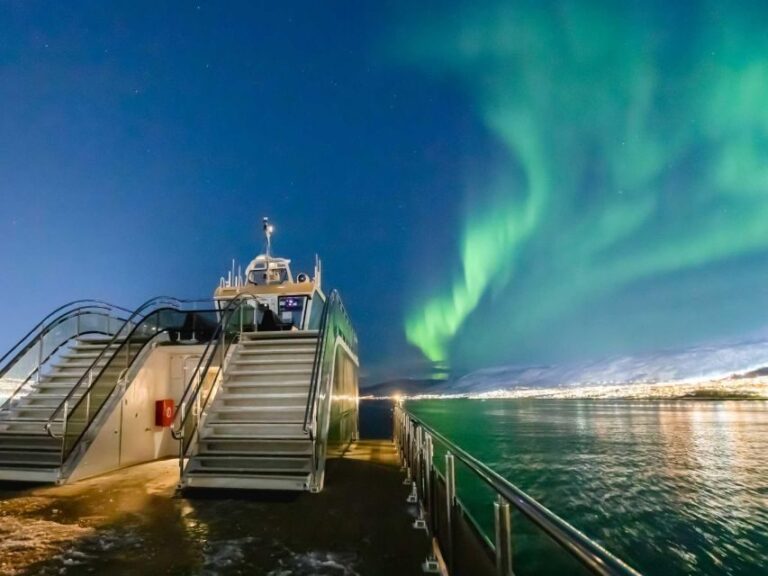 Tromsø: Aurora Dinner Cruise by Hybrid-Electric Catamaran - The Complete Review