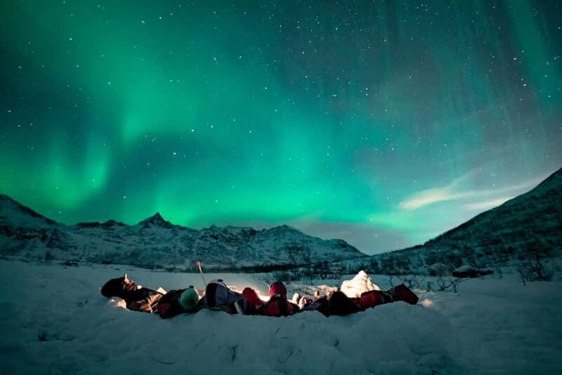 Tromsø: Aurora Hunt with Citizen Science - Transport, Timing, and Group Size