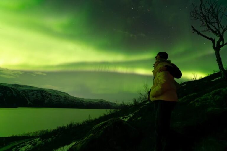 Tromsø: Aurora Quest Minibus Adventure - Price & Value Analysis