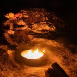 Tromsø: Aurora Tour with Campfire and Professional Photos - The Sum Up