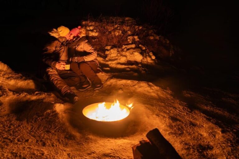 Tromsø: Aurora Tour with Campfire and Professional Photos - The Sum Up