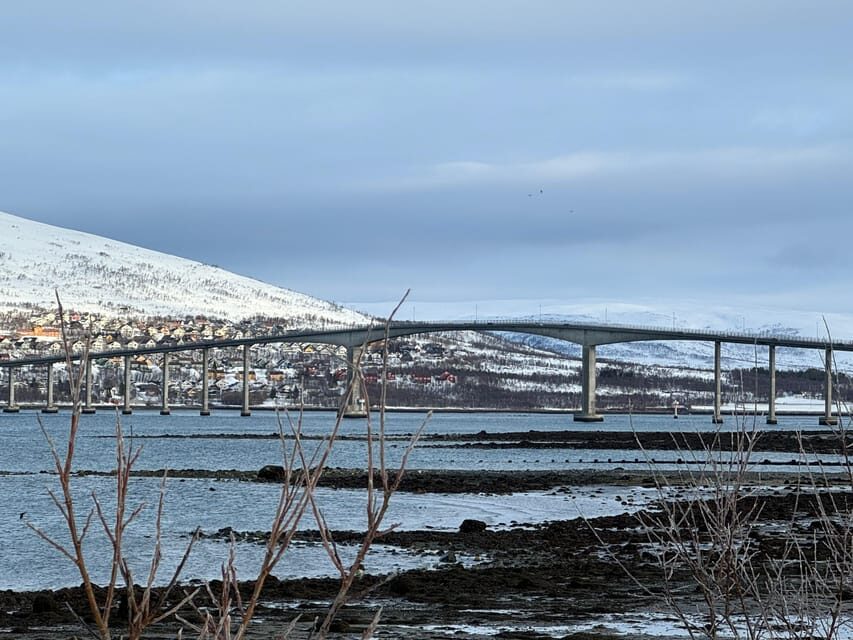 Tromsø: Aurora Tour with Guide and Photos - Max. 15 ppl - Final Thoughts
