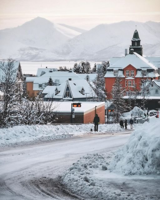 Tromsø: Capture the most Photogenic Spots with a Local - Exploring Tromsø Through a Lens and Local Eyes