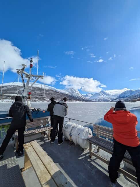 Tromsø: Christmas Cruise in the Arctic Fjords - The Itinerary: A Step-by-Step Breakdown