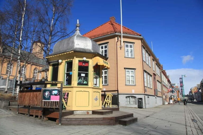 Tromsø: City Walk & Polar Museum (Private or Shared) - The Guide’s Role and Authenticity