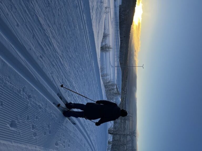 Tromsø: Cross Country Guided Skiing Course - What Makes This Tour Stand Out?