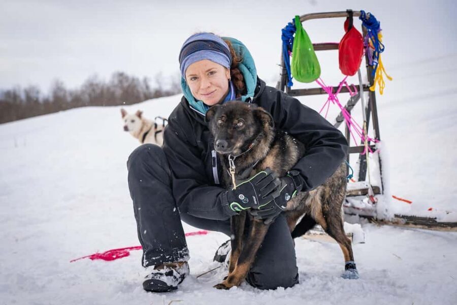 Tromsø: Dog Sledding Adventure at Camp Aspemo - Why This Tour Stands Out