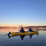 Tromsø: Easy Winter Kayaking Tour with Seal Watching - Exploring the Arctic Waters: A Deep Dive into the Kayaking Experience