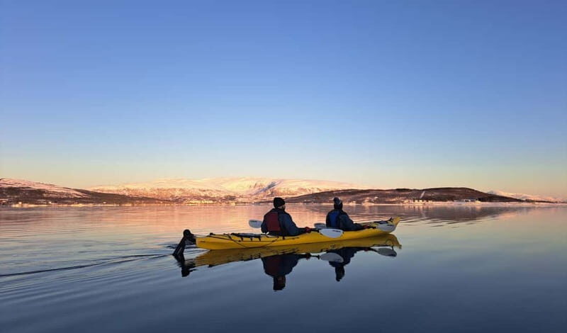 Tromsø: Easy Winter Kayaking Tour with Seal Watching - Exploring the Arctic Waters: A Deep Dive into the Kayaking Experience