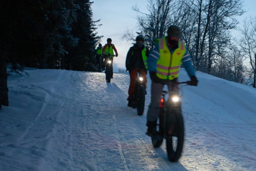 Tromsø: Electric fatbike trip on winter paths - Discovering Tromsø on a Fatbike: What to Expect
