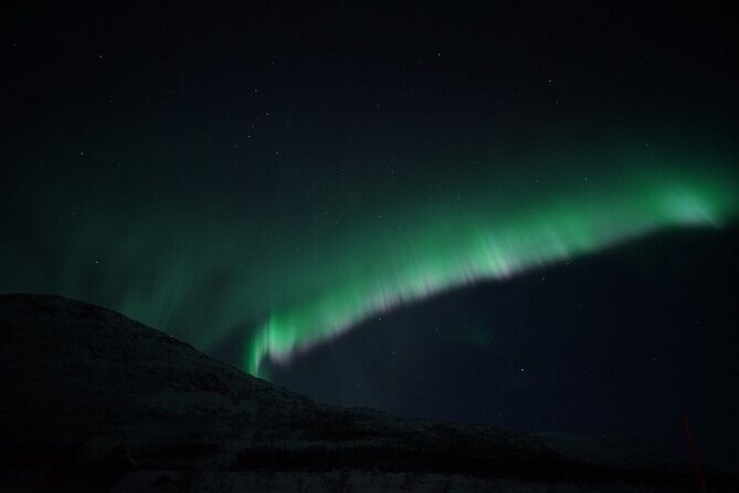 Tromsø: Evening Cruise with Northern Lights Opportunity - Who Is This Tour Best For?