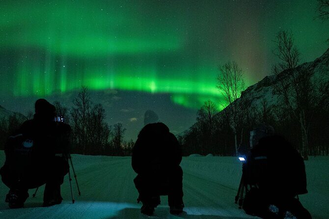 Tromsø: Express Aurora Hunt with Wandering Owl - Who Should Book This Tour?